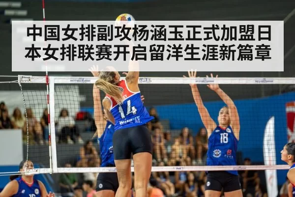 volleyball match